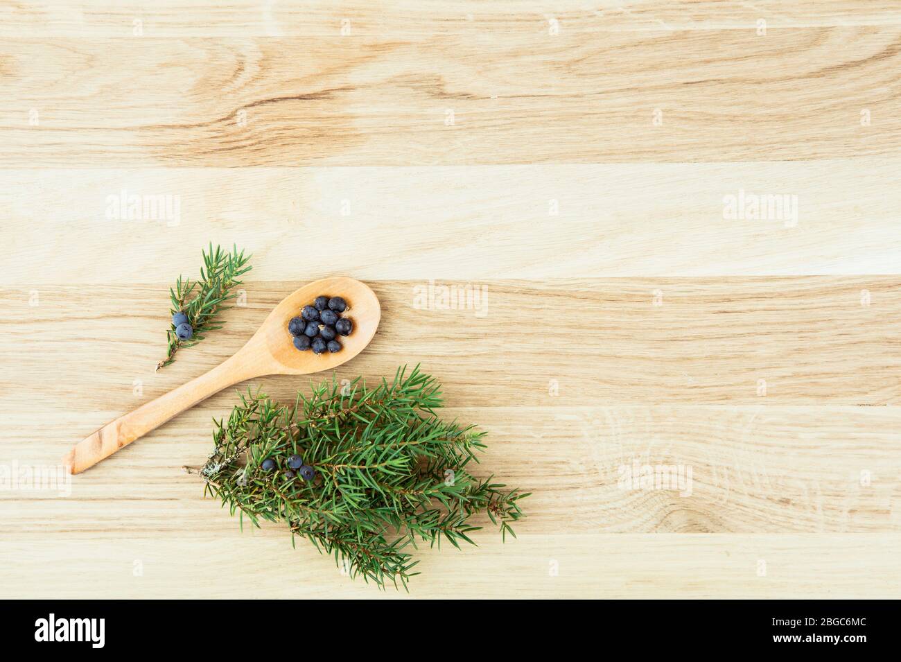 Flat lay view Juniper latin Juniperus communis berries on wooden spoon, juniper tree branch with confier cones and berries scattered around. Stock Photo