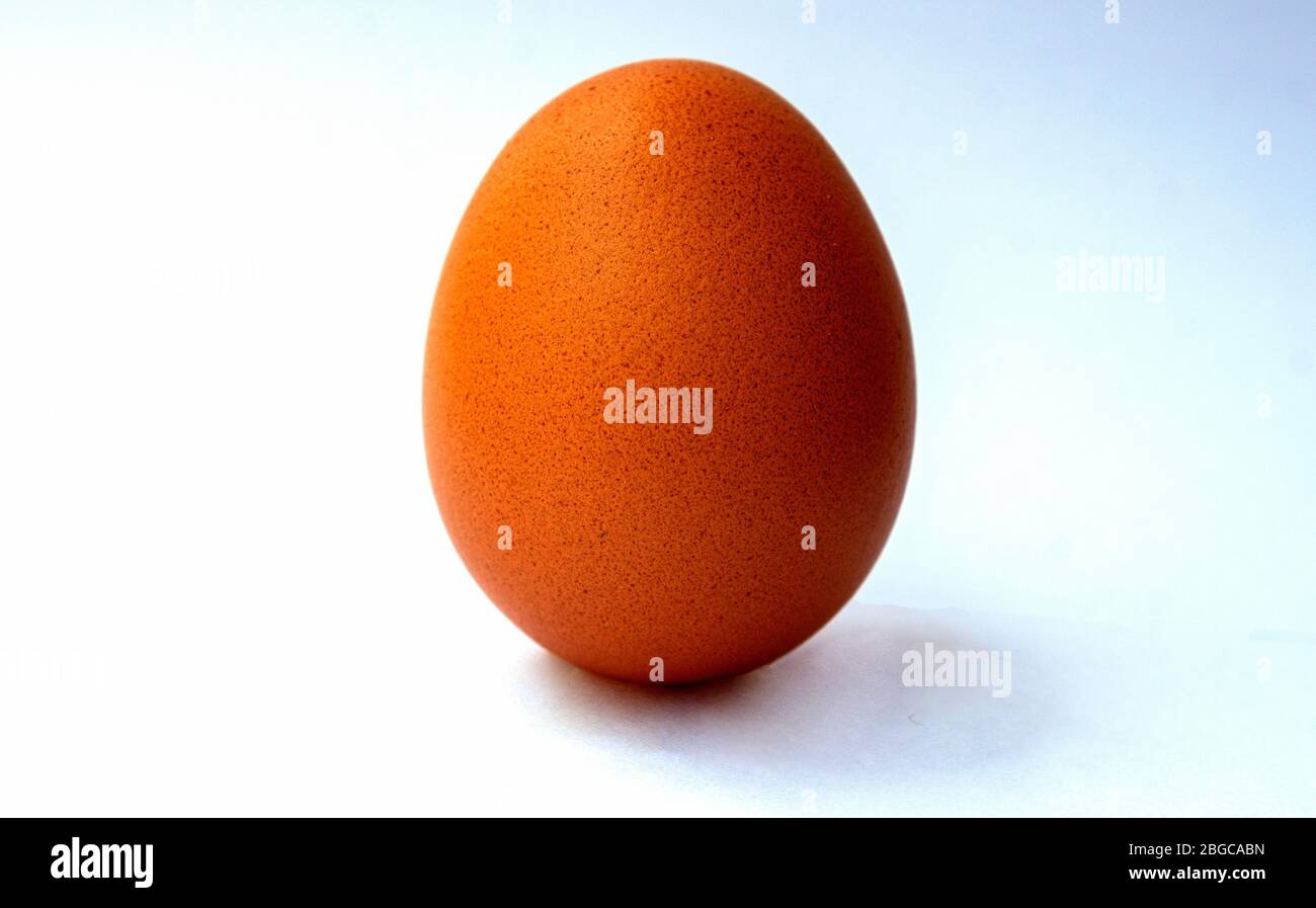 Eggs, Chicken Egg Isolated on White Background Stock Photo - Alamy