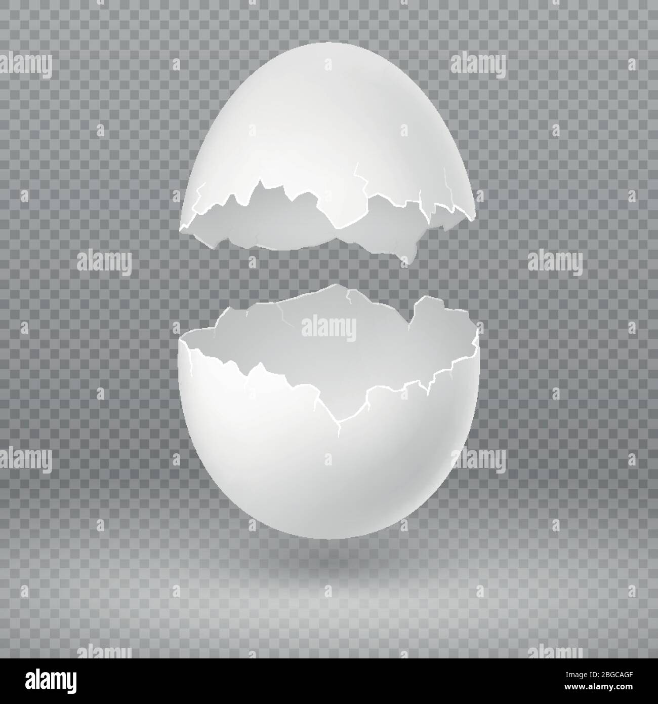 Opened white egg with broken shell isolated vector illustration. Eggshell fragile broken, open and cracked oval egg Stock Vector