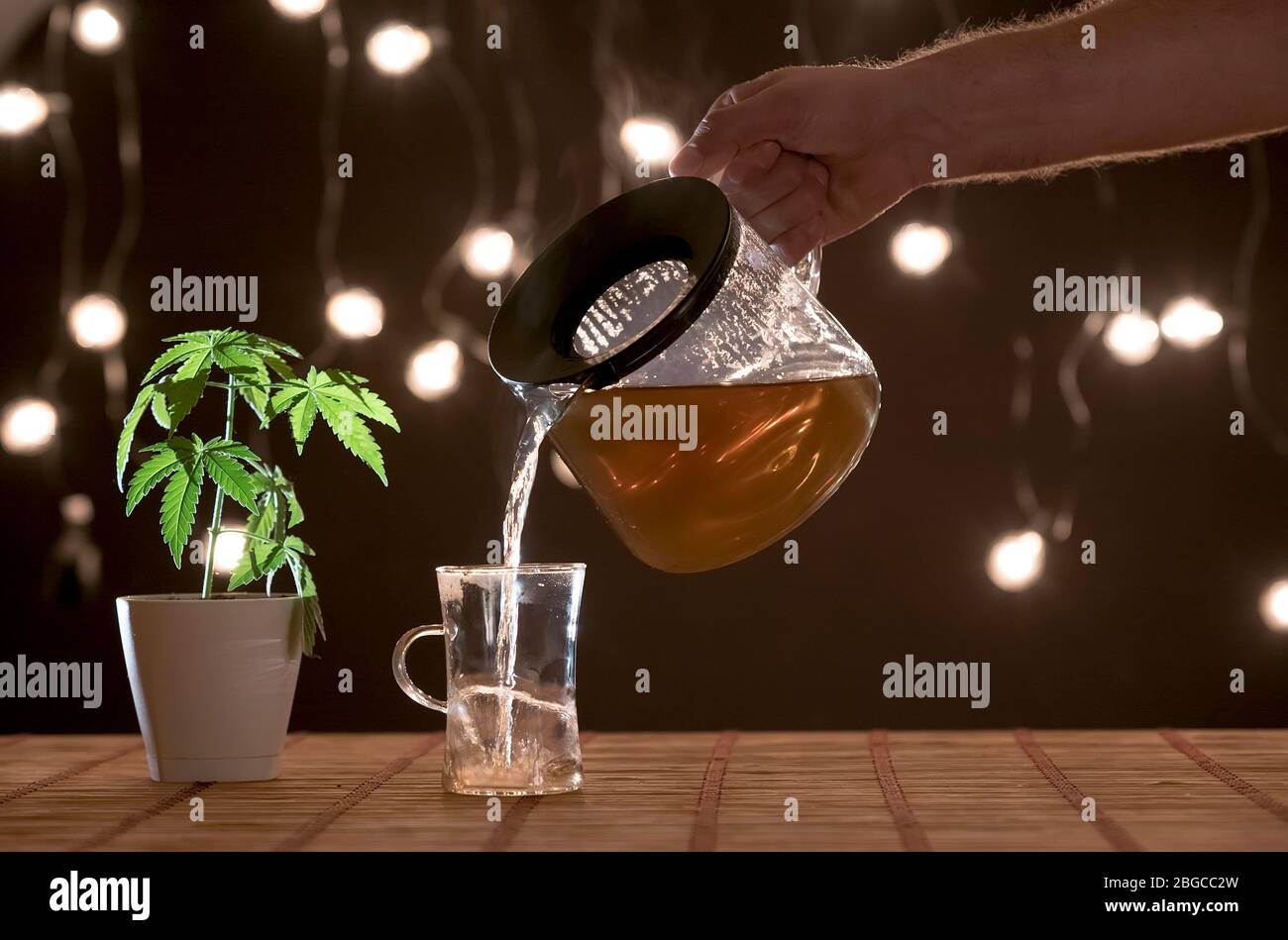 Bamboo table with Marijuana plant in pottery. Hand pouring hot CBD tea