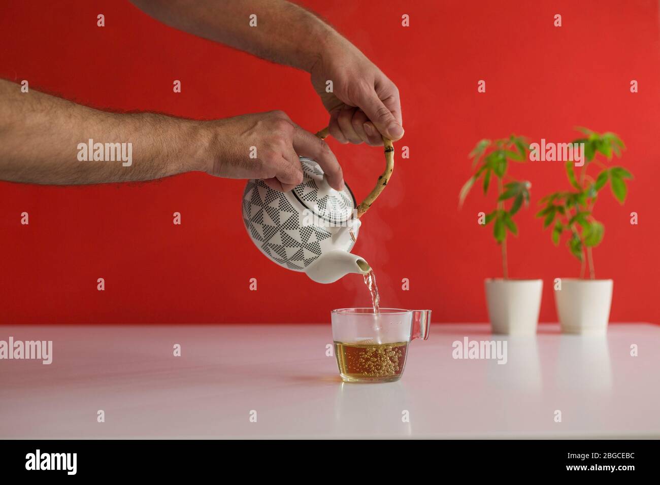 White table with Marijuana plant in pottery. Hand pouring hot CBD tea