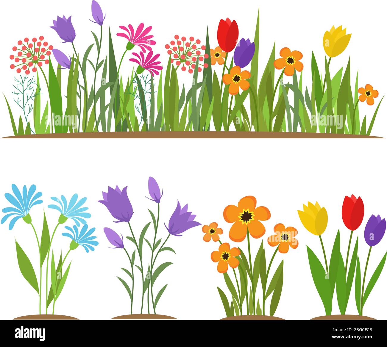 Early spring forest and garden flowers isolated on white vector set. Illustration of nature