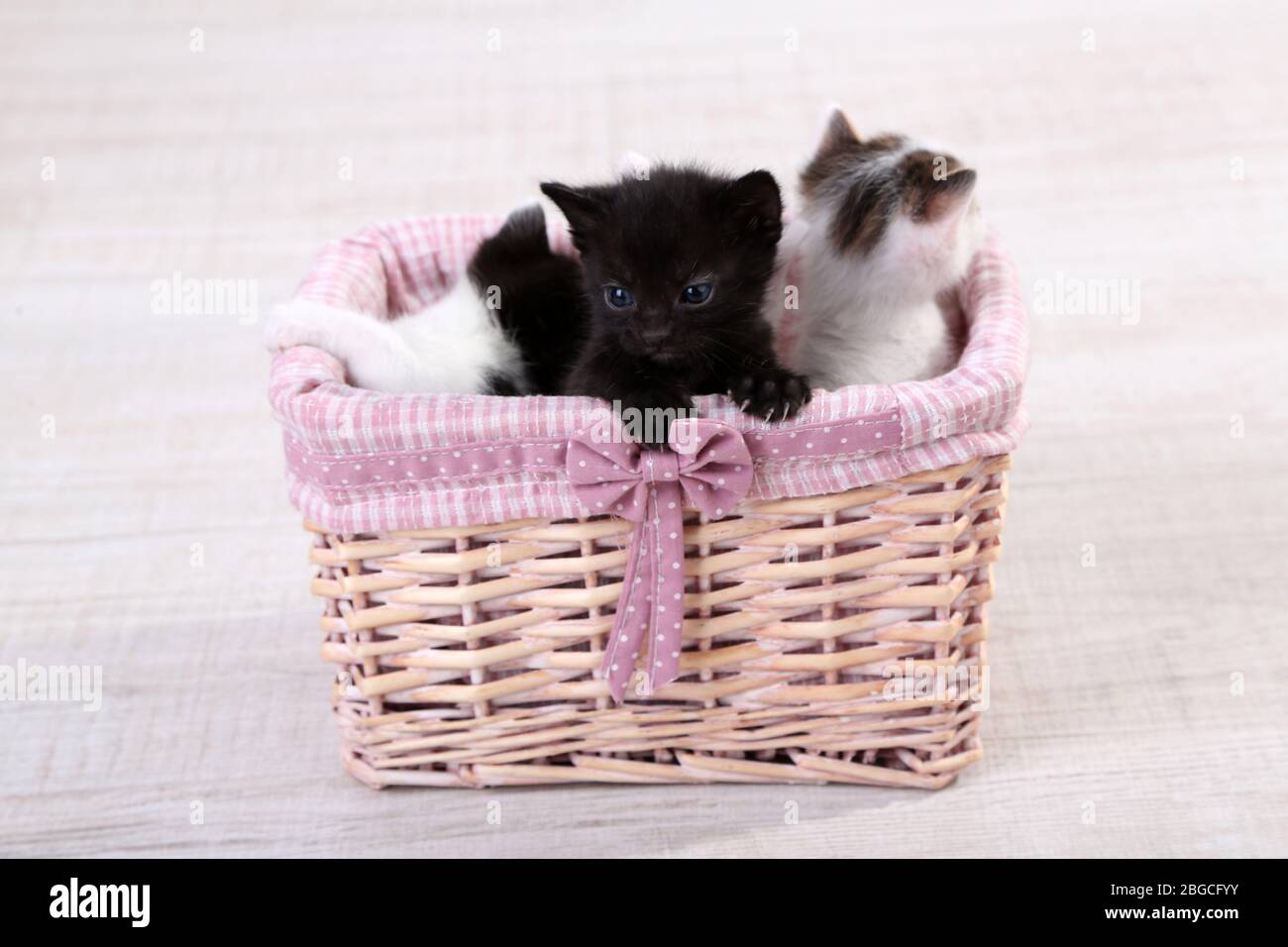 Cute little kittens in basket Stock Photo - Alamy