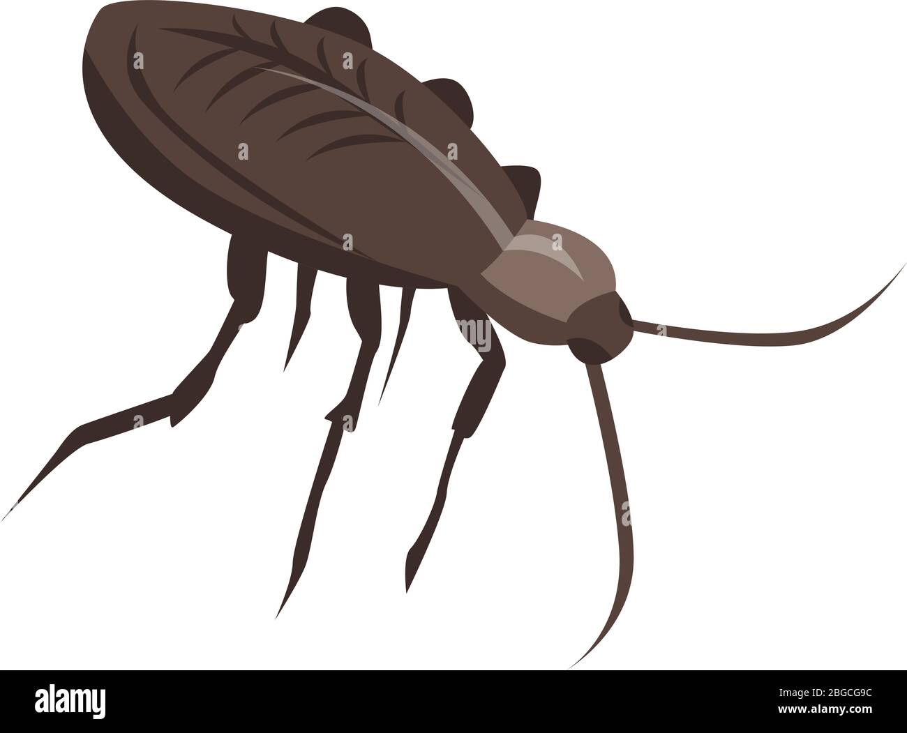 American cockroach icon, isometric style Stock Vector