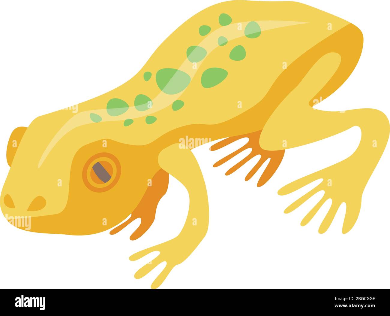 Yellow exotic frog icon, isometric style Stock Vector
