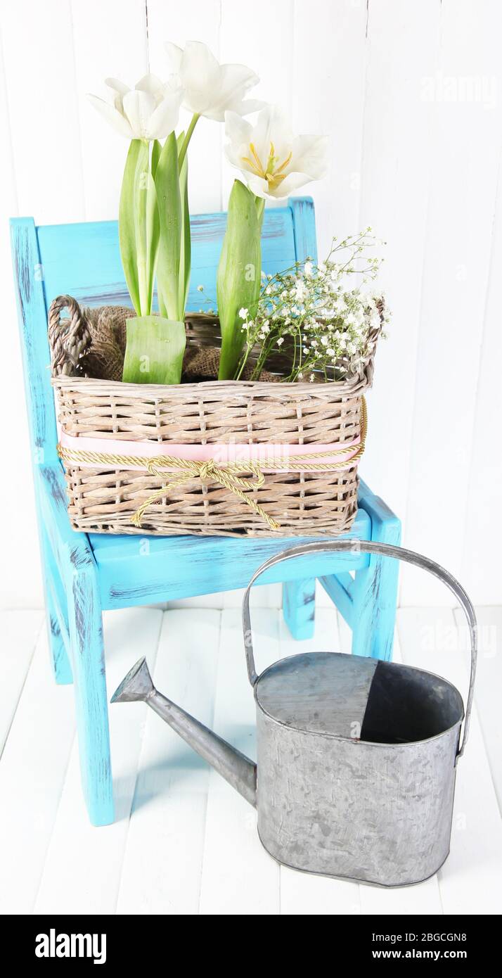 Beautiful tulips on blue chair on color wooden background Stock Photo