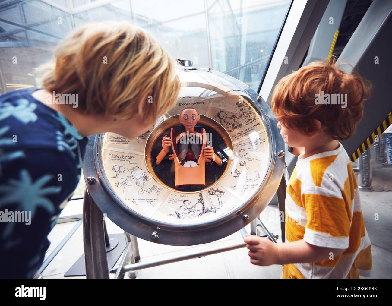 WARSAW, POLAND - June 20, 2019: Kids are testing the internal human body organs globe model in the Copernicus Science Centre in Warsaw, Poland Stock Photo