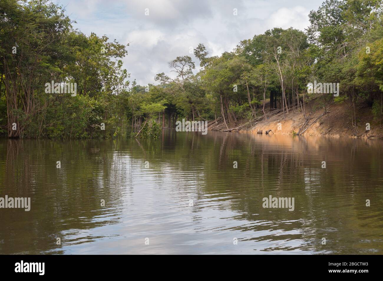 Calm waters of the Solimoes River, part of the Amazon river system, in Brazil. Surrounded by ancient jungle. Stock Photo