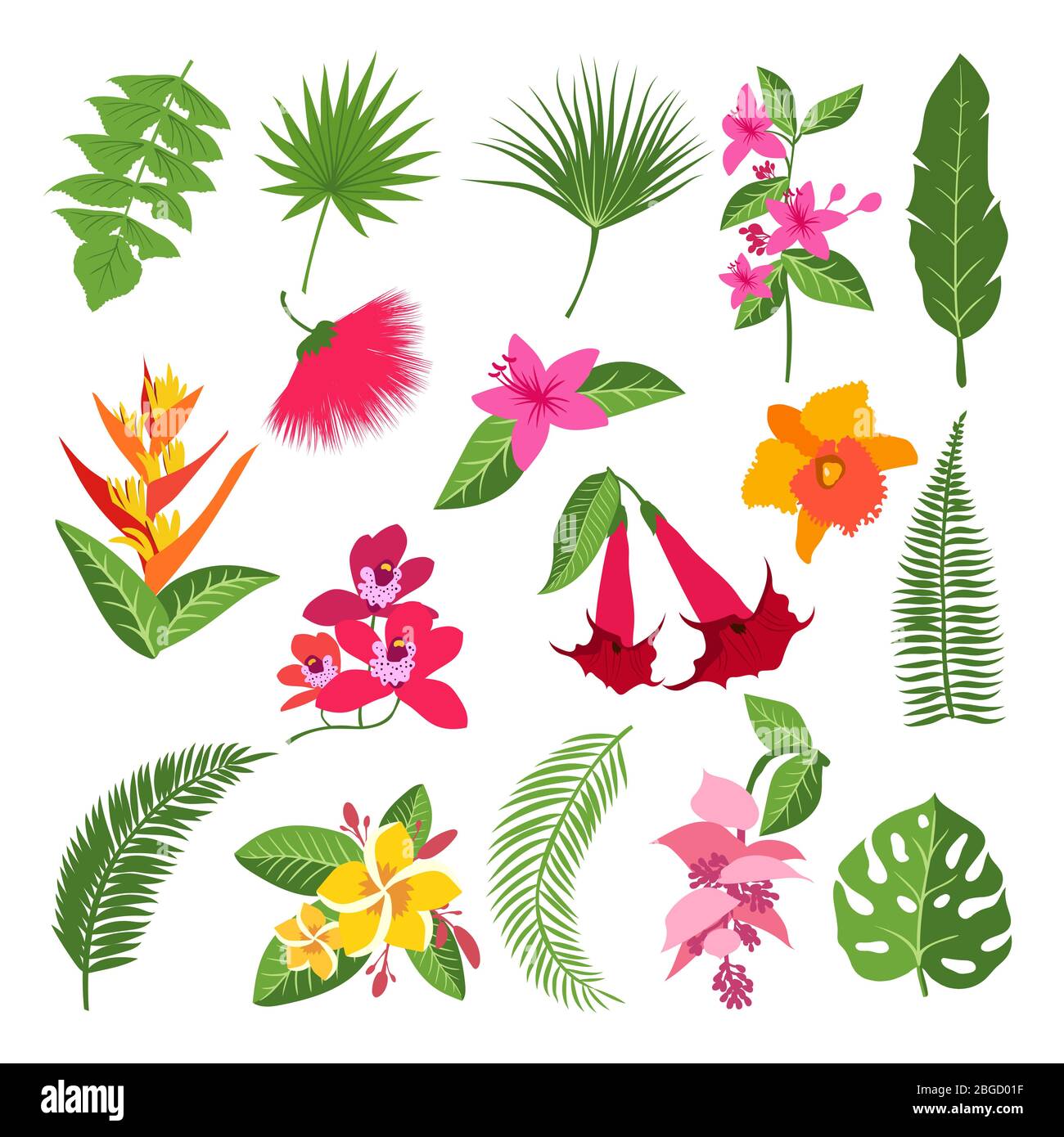 Exotic tropical flowers and leaves. Vector illustrations of plants Stock Vector