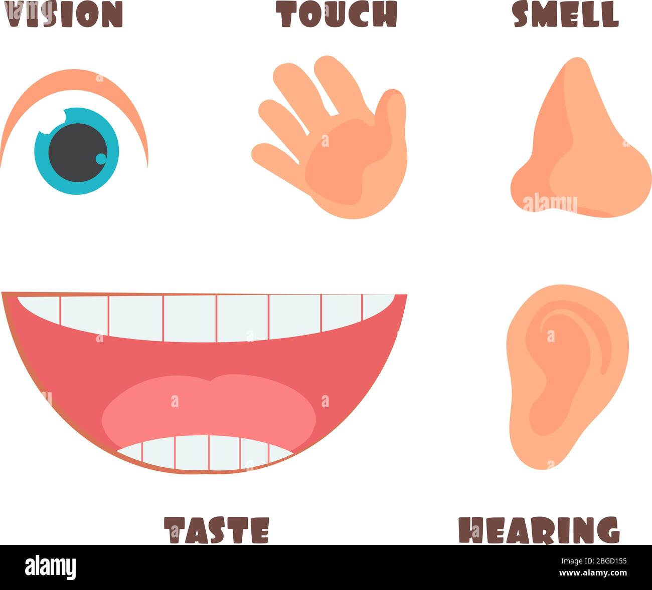 Human senses cartoon vector icons with eye, nose, ear, hand, and mouth symbols. Human taste and sensory illustration Stock Vector