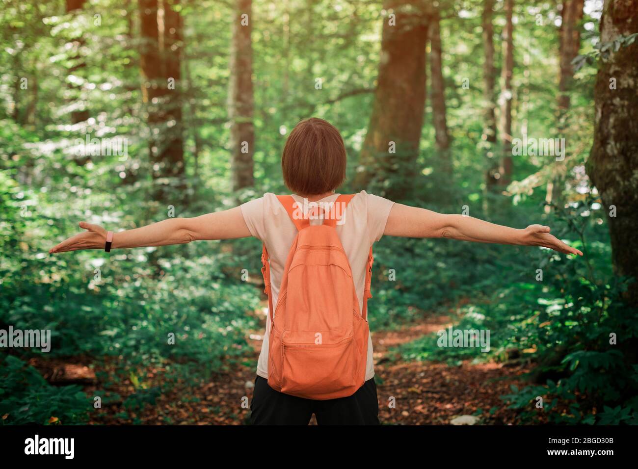 Female hiker with wide spread hands in forest, rear view of woman enjoying outdoor pursuit Stock Photo
