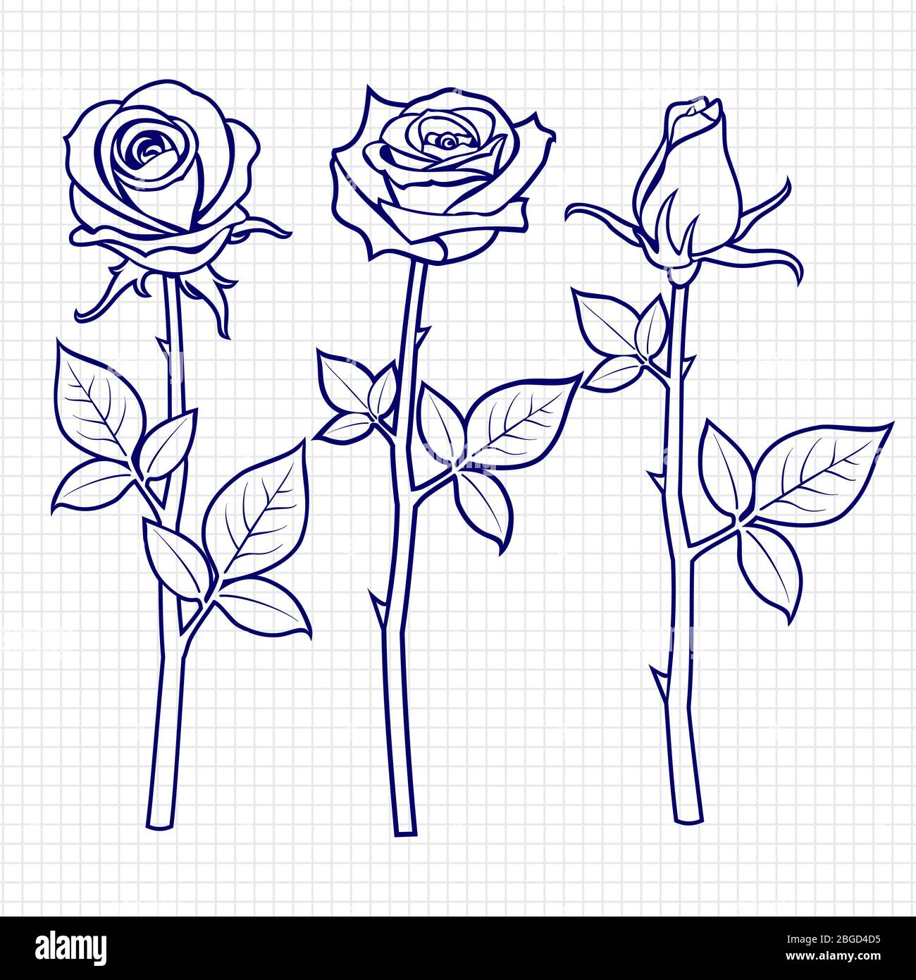 Drawn 5 Roses Hand drawn sketch roses flowers on notebook page. Vector illustration ...