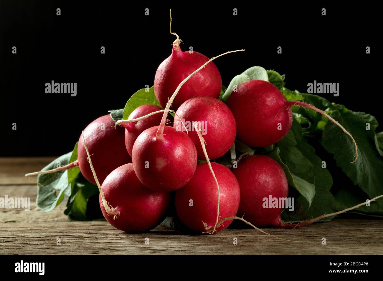 Fresh picked radishes on a wooden table. Stock Photo