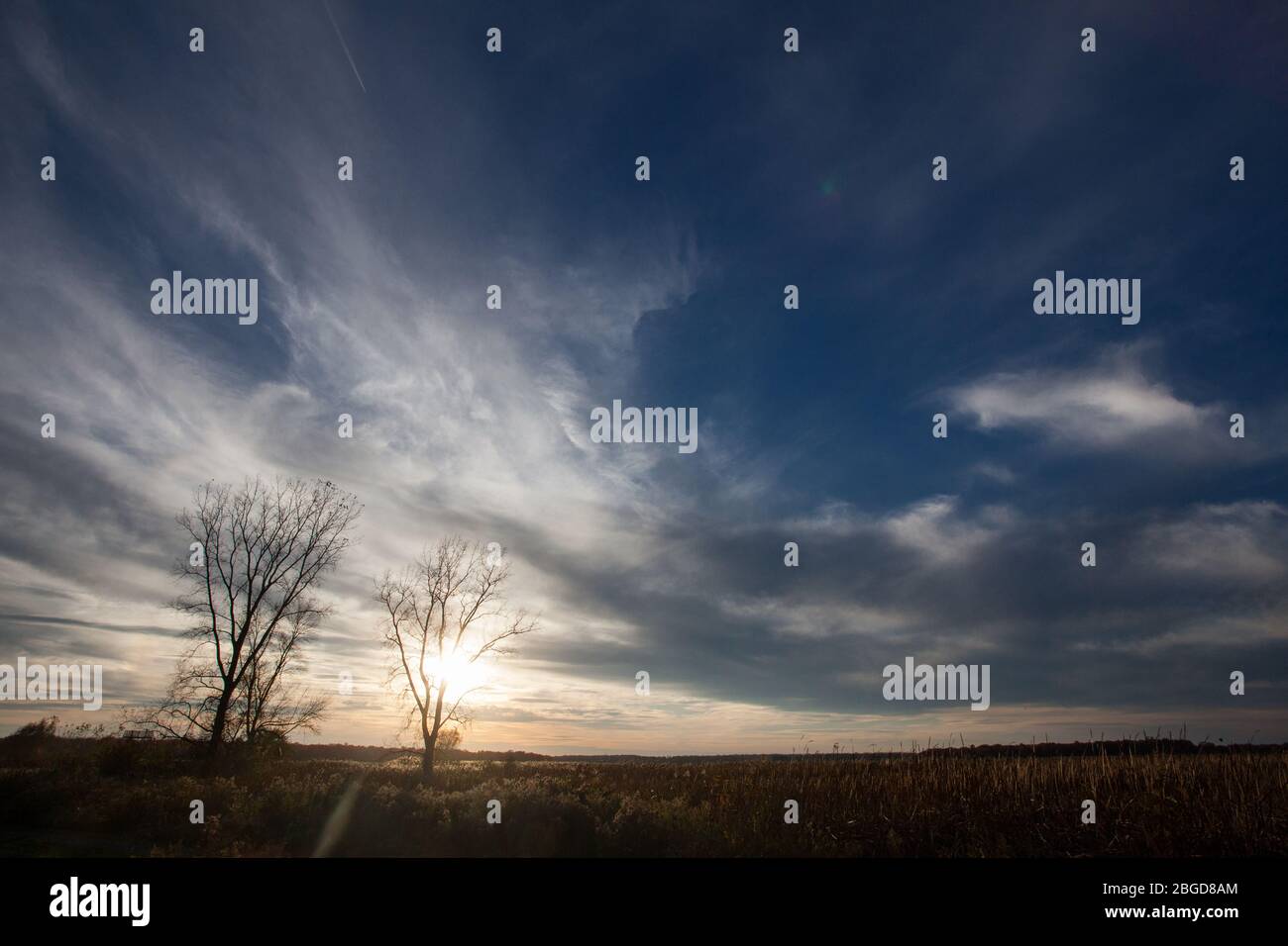 The sun sets over a marsh at the Montezuma National Wildlife refuge, with marsh grasses and leafless trees visible, Seneca, NY, USA Stock Photo