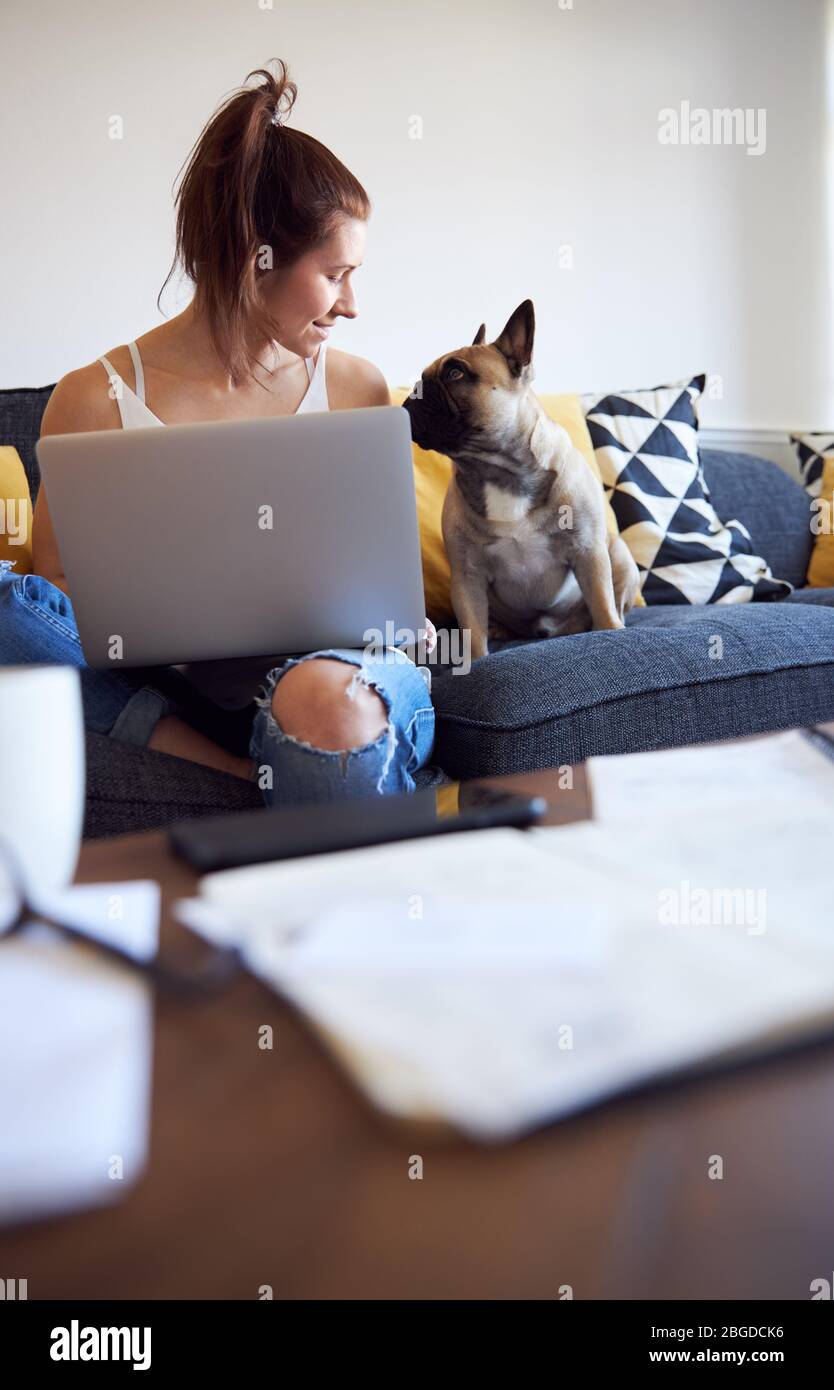 Female working on laptop with pet dog on sofa smiling. Stock Photo