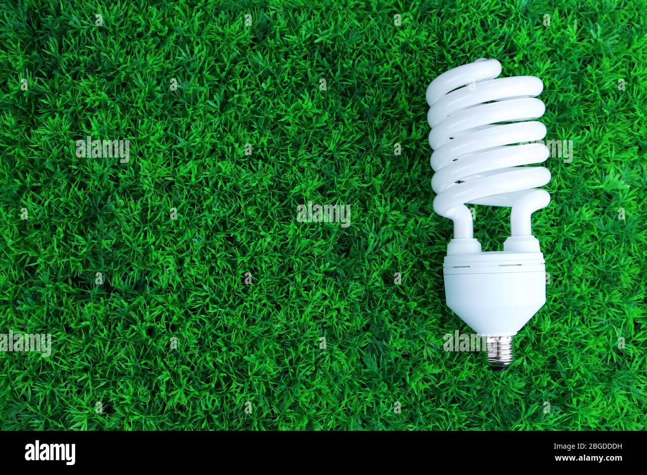 Energy saving light bulb on green grass background Stock Photo - Alamy