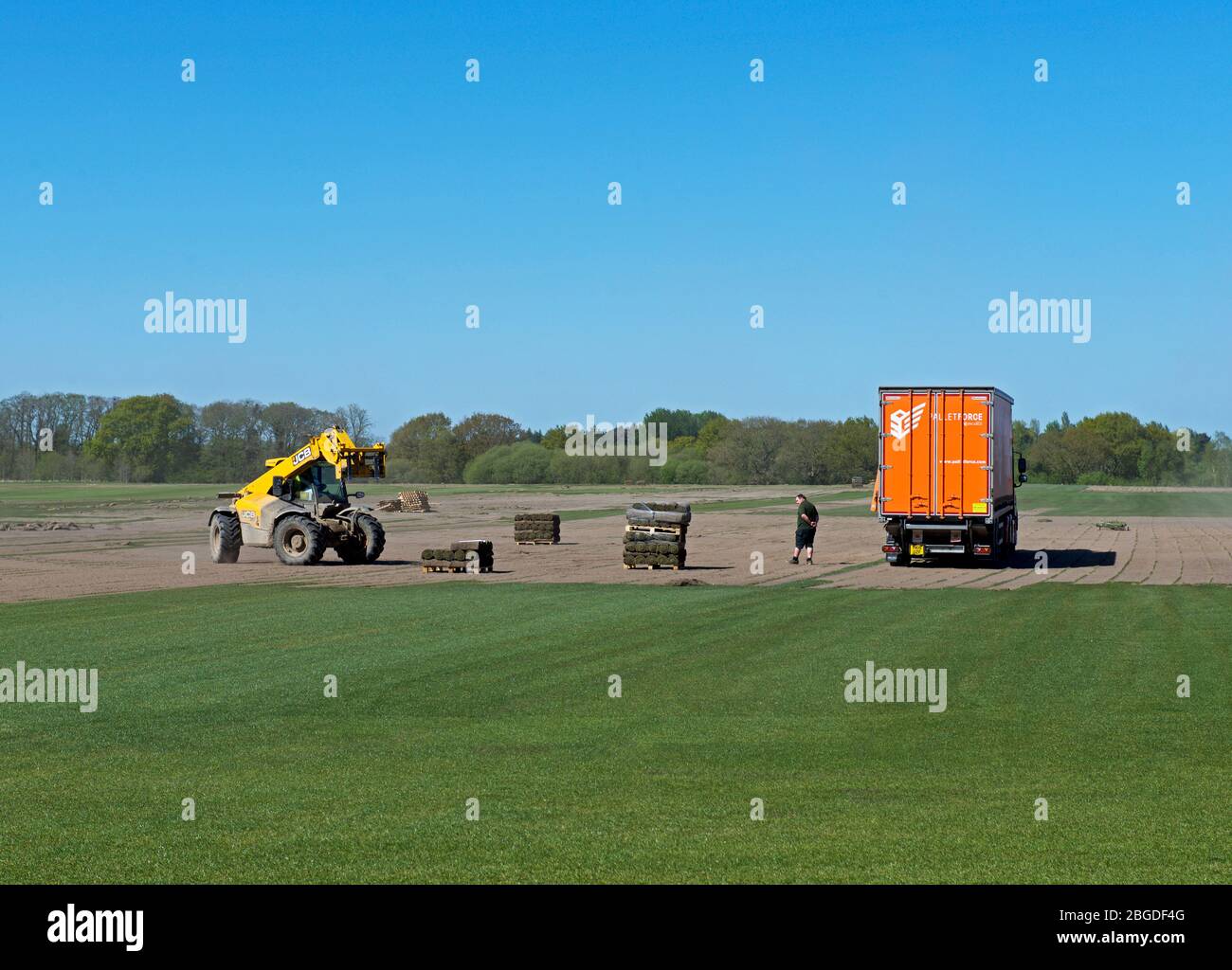 Cutting turf in a field and loading into lorry, near Skipwith, North Yorkshire, England UK Stock Photo