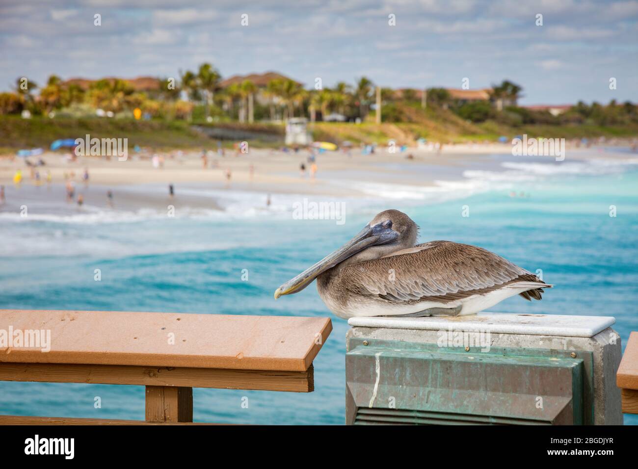 juno beach florida juno beach florida