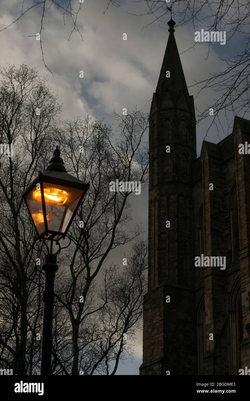 Moody image showing a single old style street light at dusk with the silhouette of a tree and cathedral tower to one side Stock Photo