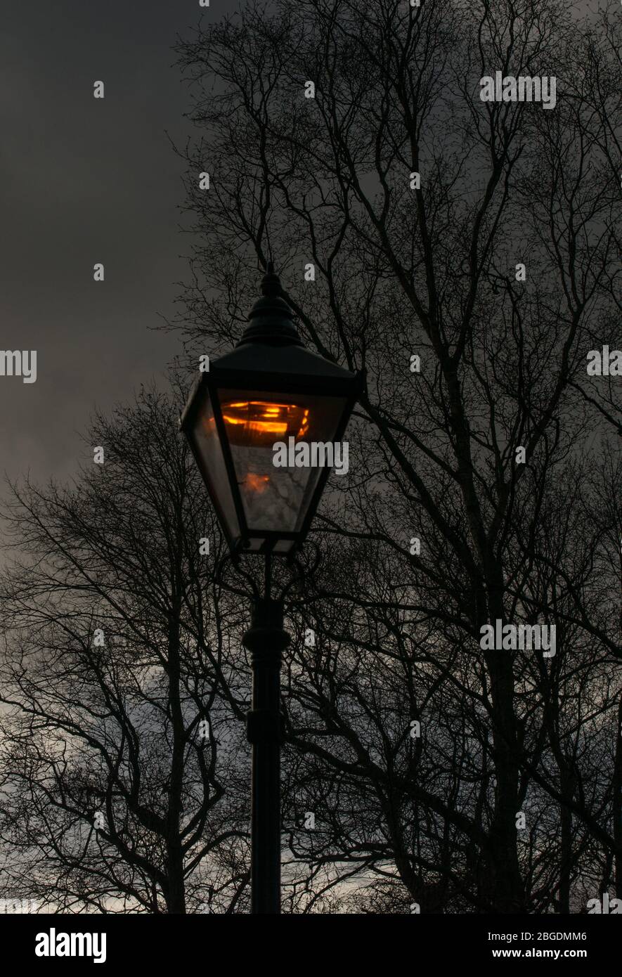 Moody image of street light just beginning to glow at dusk with silhouettes of leafless trees and branches in the background Stock Photo
