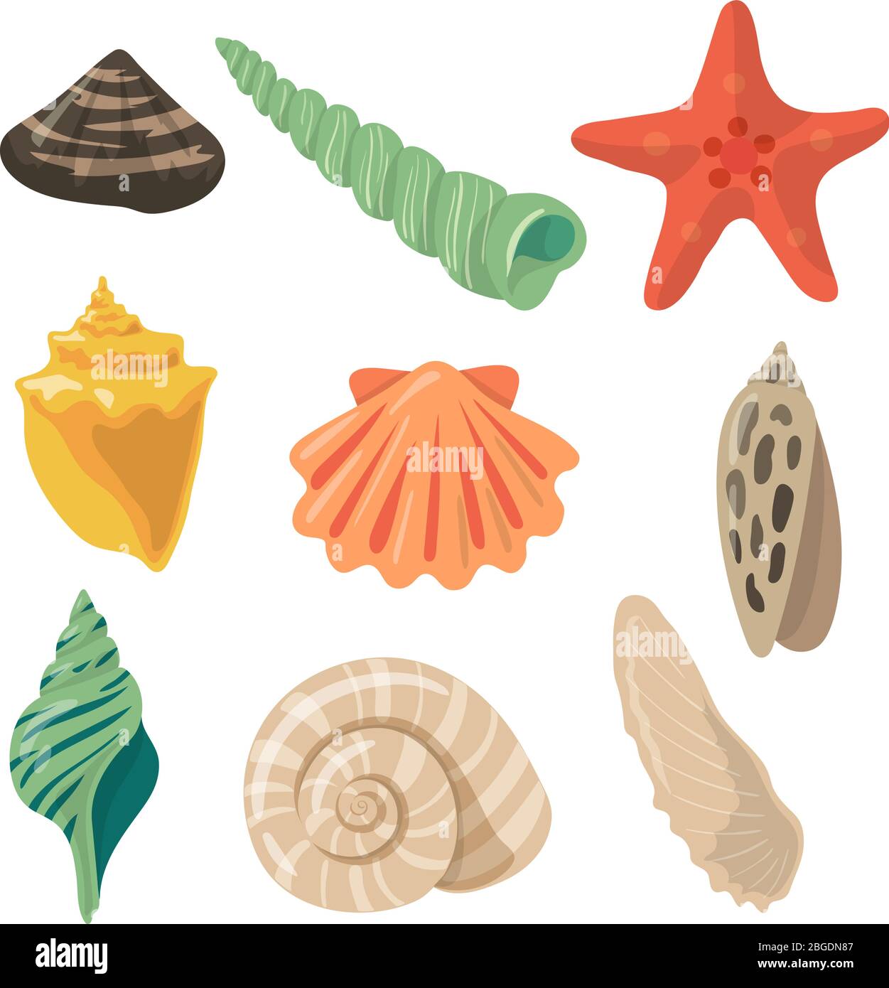 Summer tropical objects. Marine shells in cartoon style. Vector pictures set Stock Vector