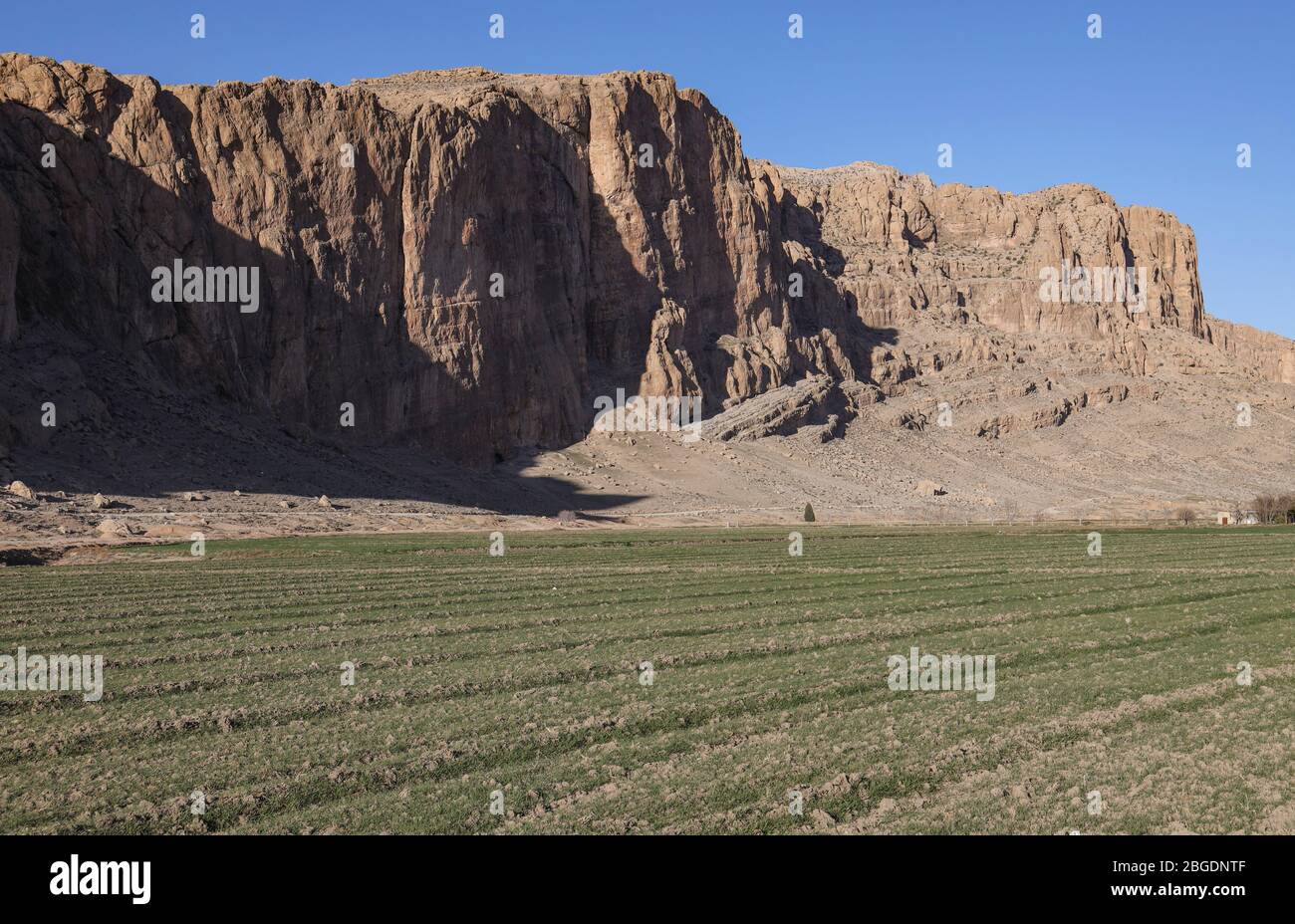 Agricultural field and Zagros mountain range near Naqsh-e Rustam, Marvdasht, Fars Province, Iran, Persia, Middle East Stock Photo