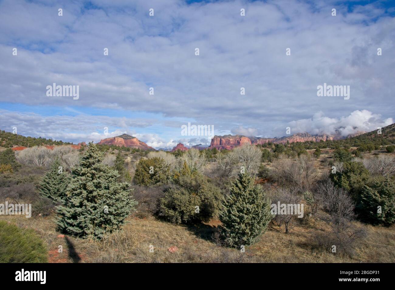 View on mountains near Sedona Arizona USA Stock Photo