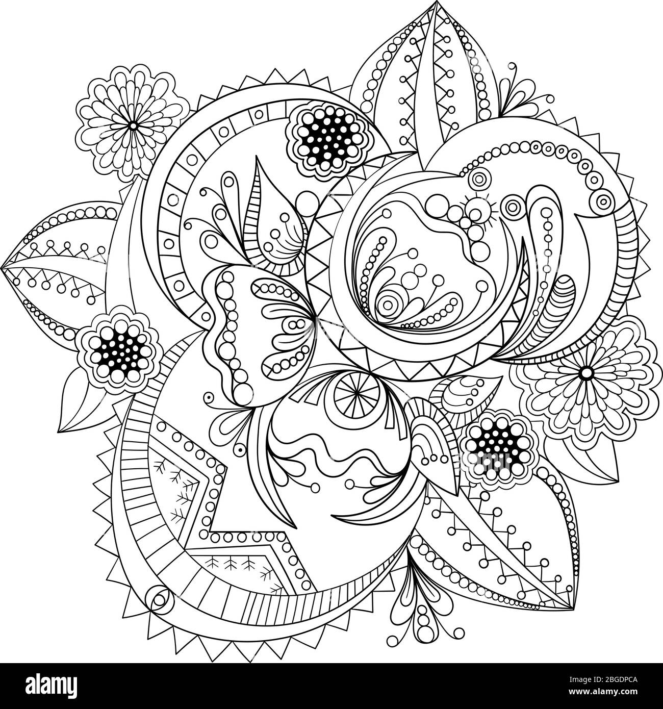 Botany Cover Page High Resolution Stock Photography And Images Alamy