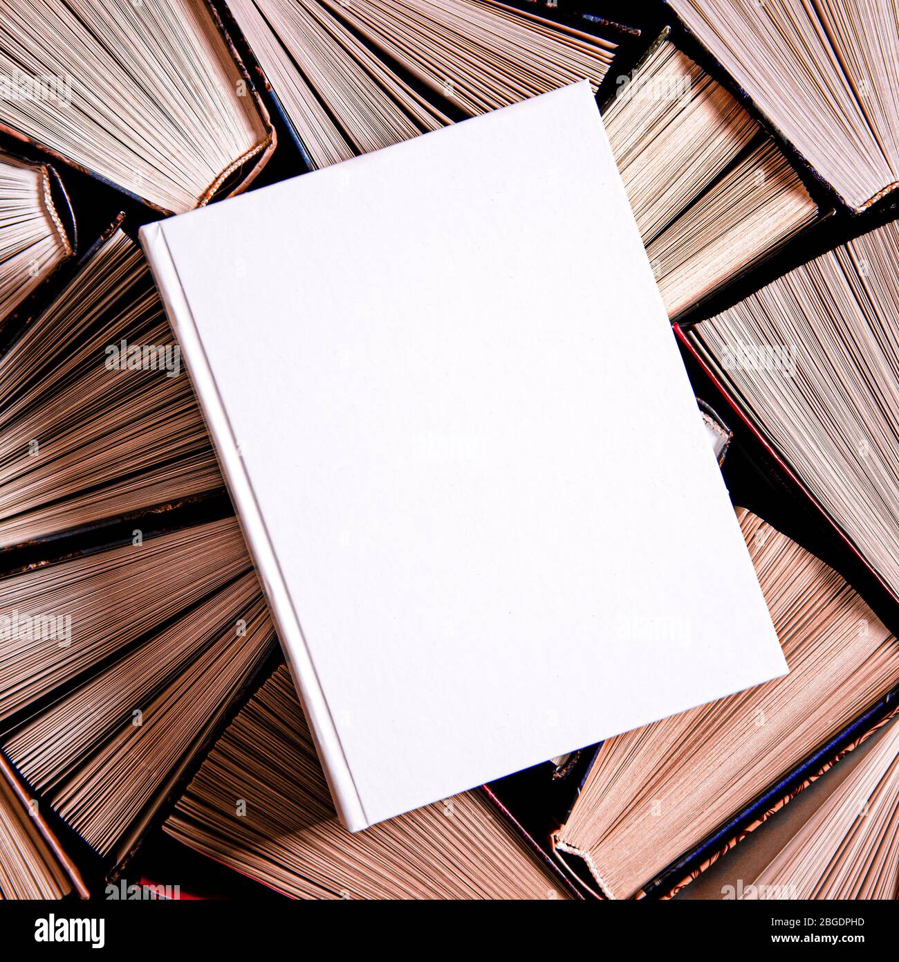 White book in white cover with a place for text lies on multicolored ...