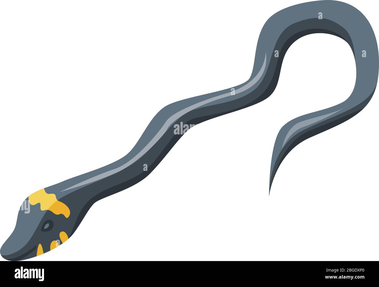 Black coral snake Stock Vector Images - Alamy