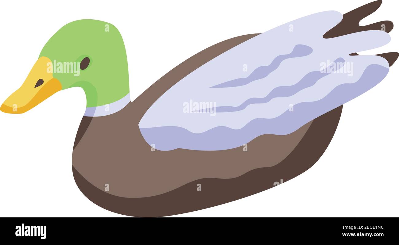 Cute wild duck icon, isometric style Stock Vector