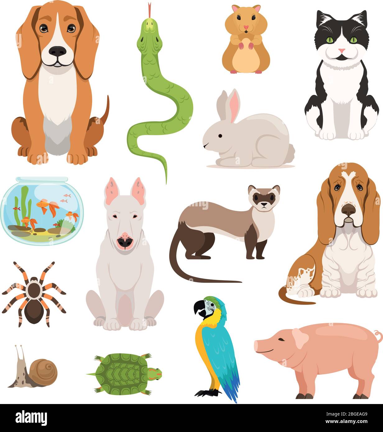 Big vector set of different domestic animals. Cats, dogs, hamster and other pets in cartoon style Stock Vector