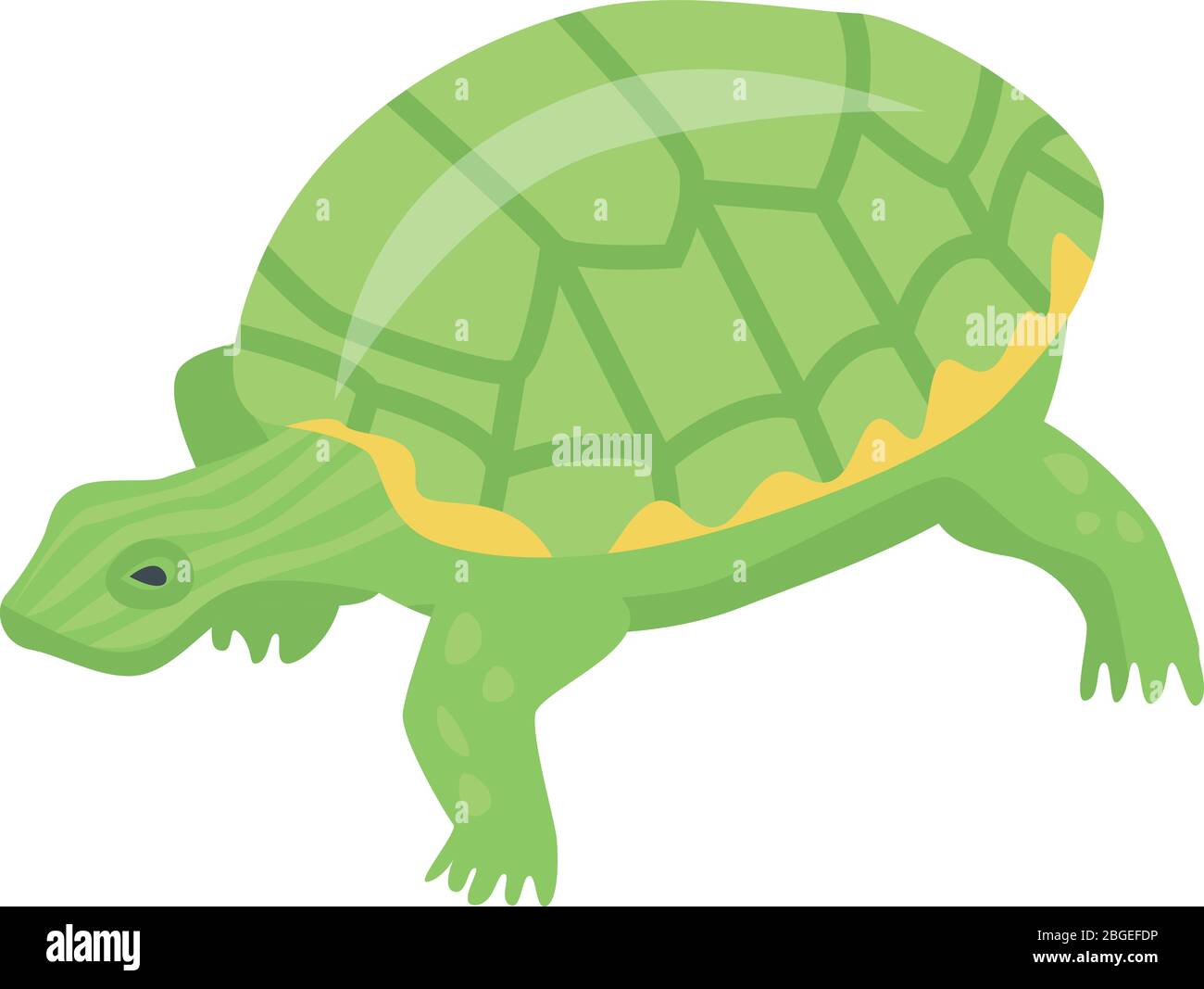 Green turtle icon, isometric style Stock Vector