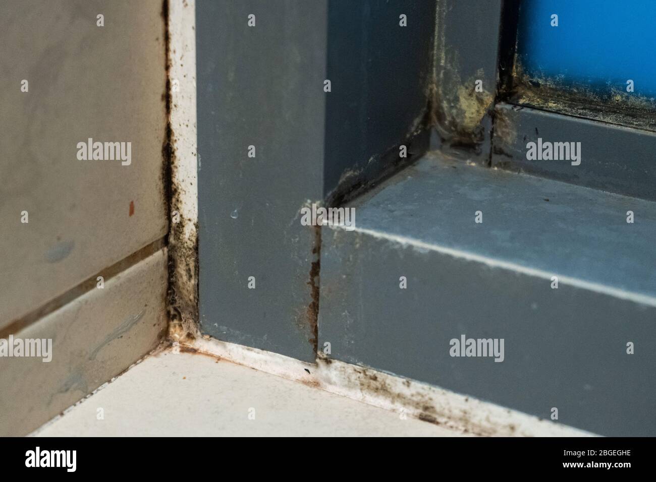 Old plastic window frame in the shower. Moldy angle, fungus. Problem