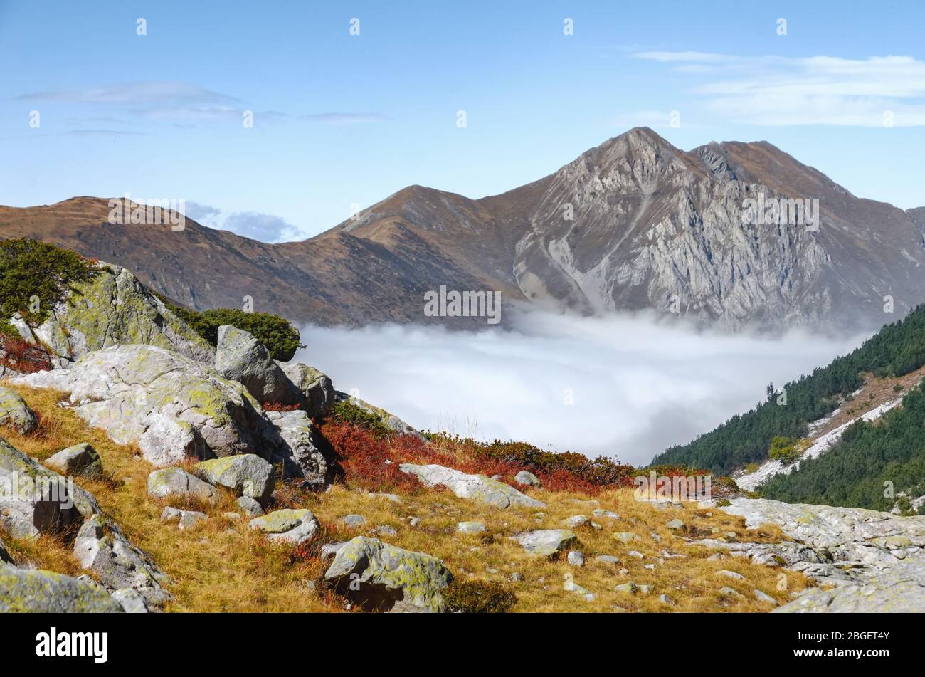 Frisson High Frisson High Resolution Stock Photography and Images - Alamy