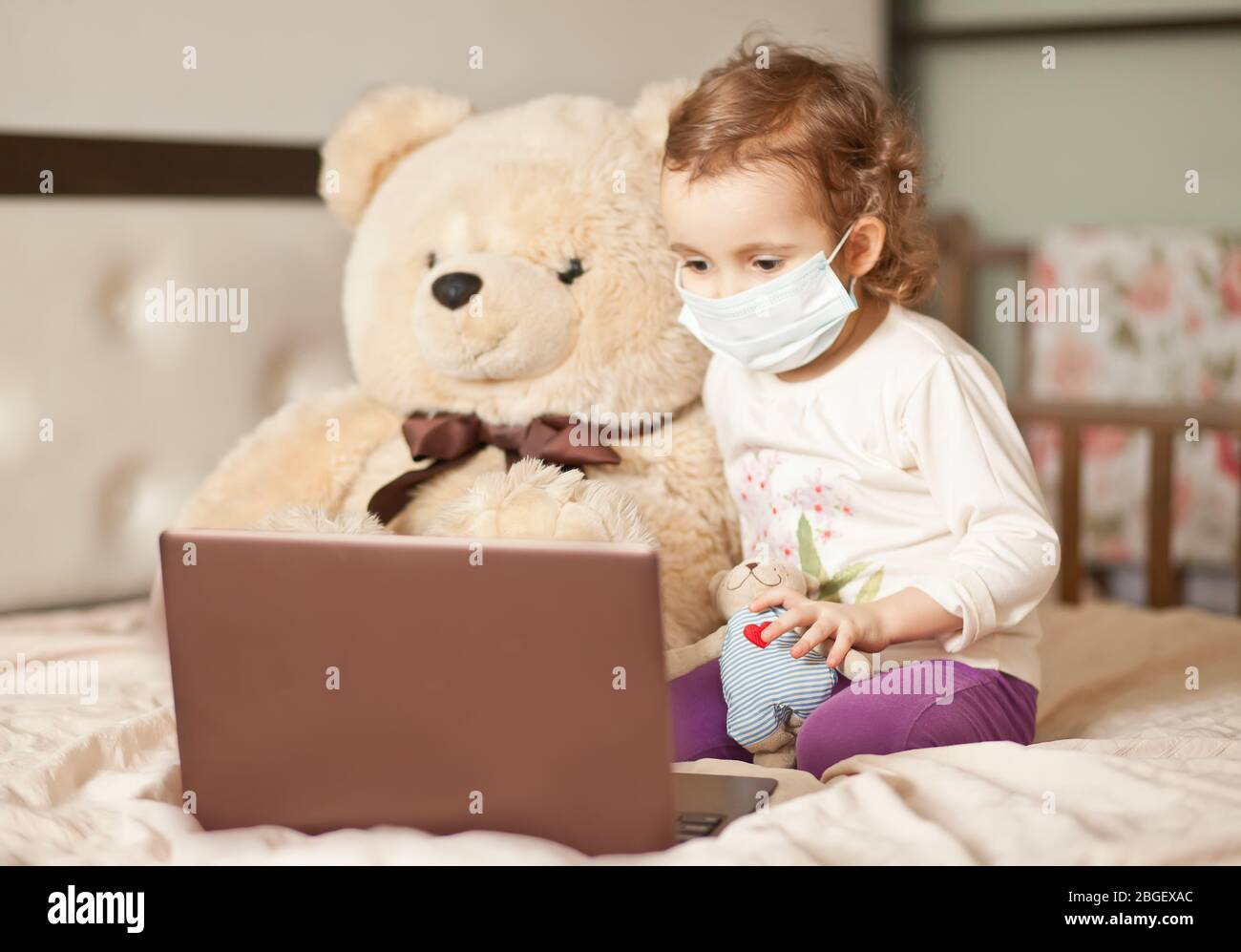 teddy bed online