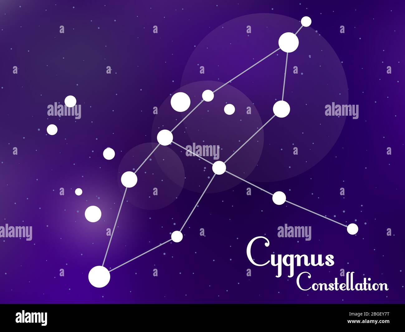 Constellation of cygnus the swan Stock Vector Images - Alamy