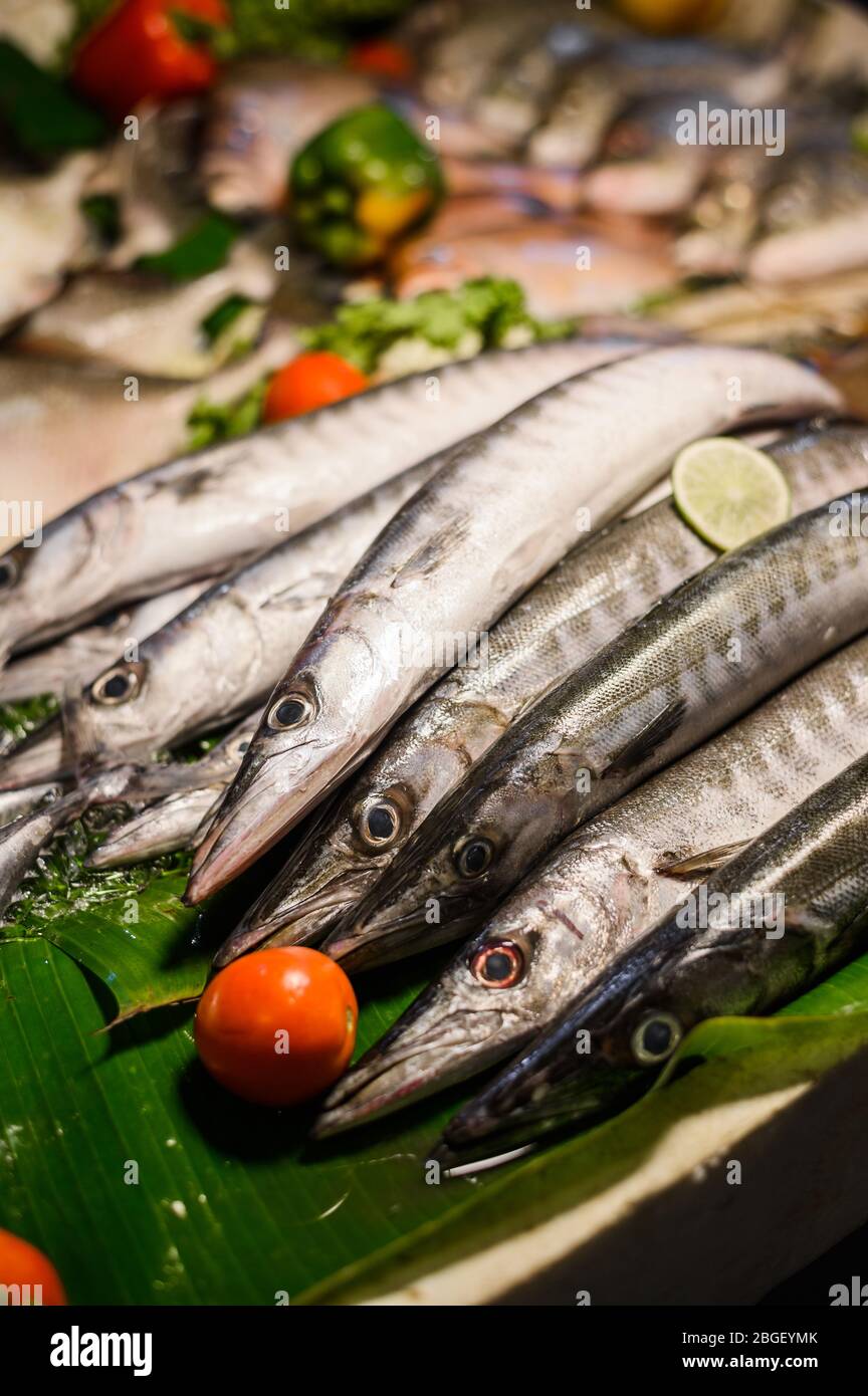 Fresh fish with price tag being sold on a stall at Thailand night