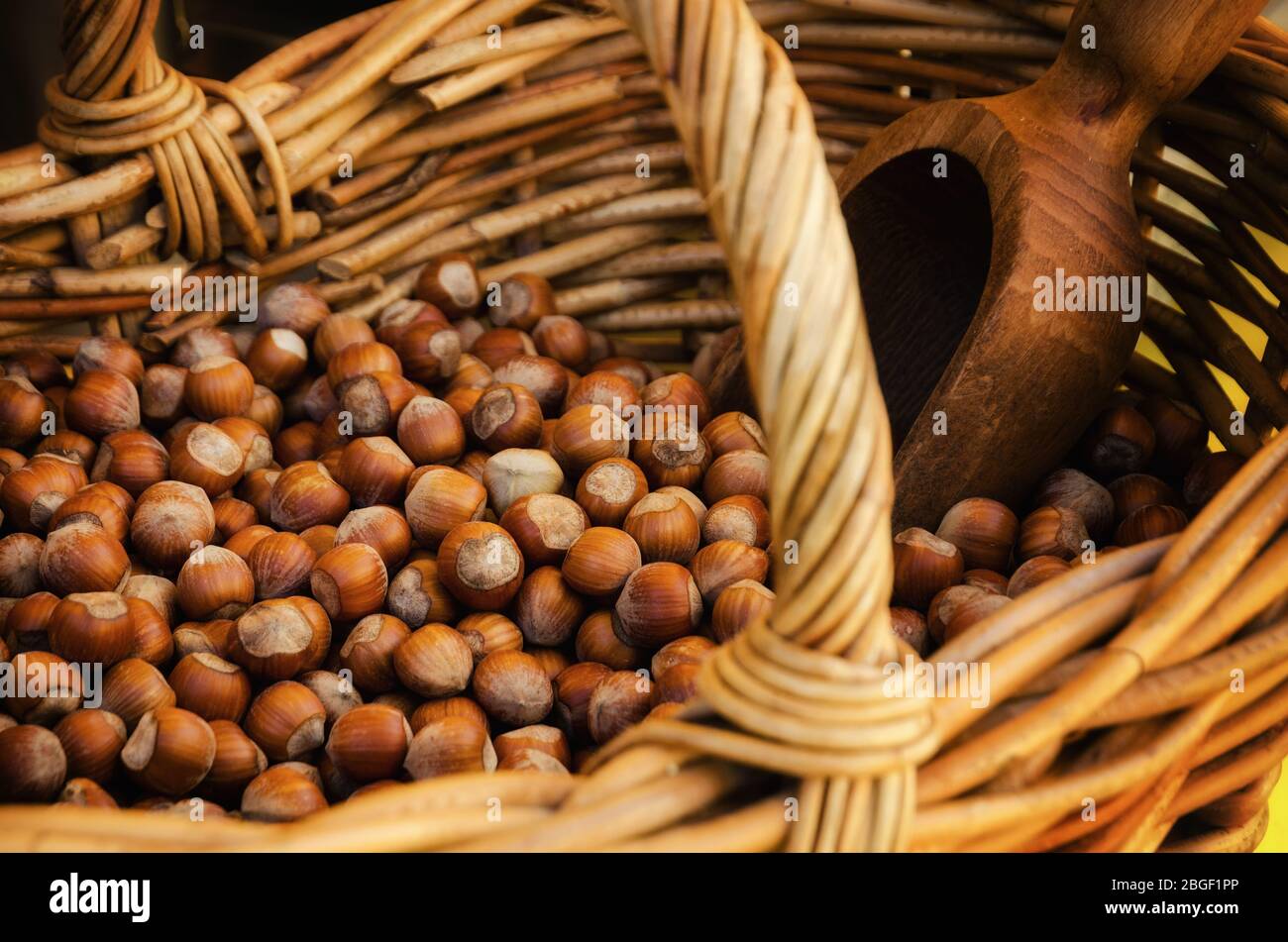 Nocciola Piemonte Igp", also known as "Tonda Gentile di Langa", hazelnut  variety produced in piedmont (italy), with wicker basket and scoop Stock  Photo - Alamy