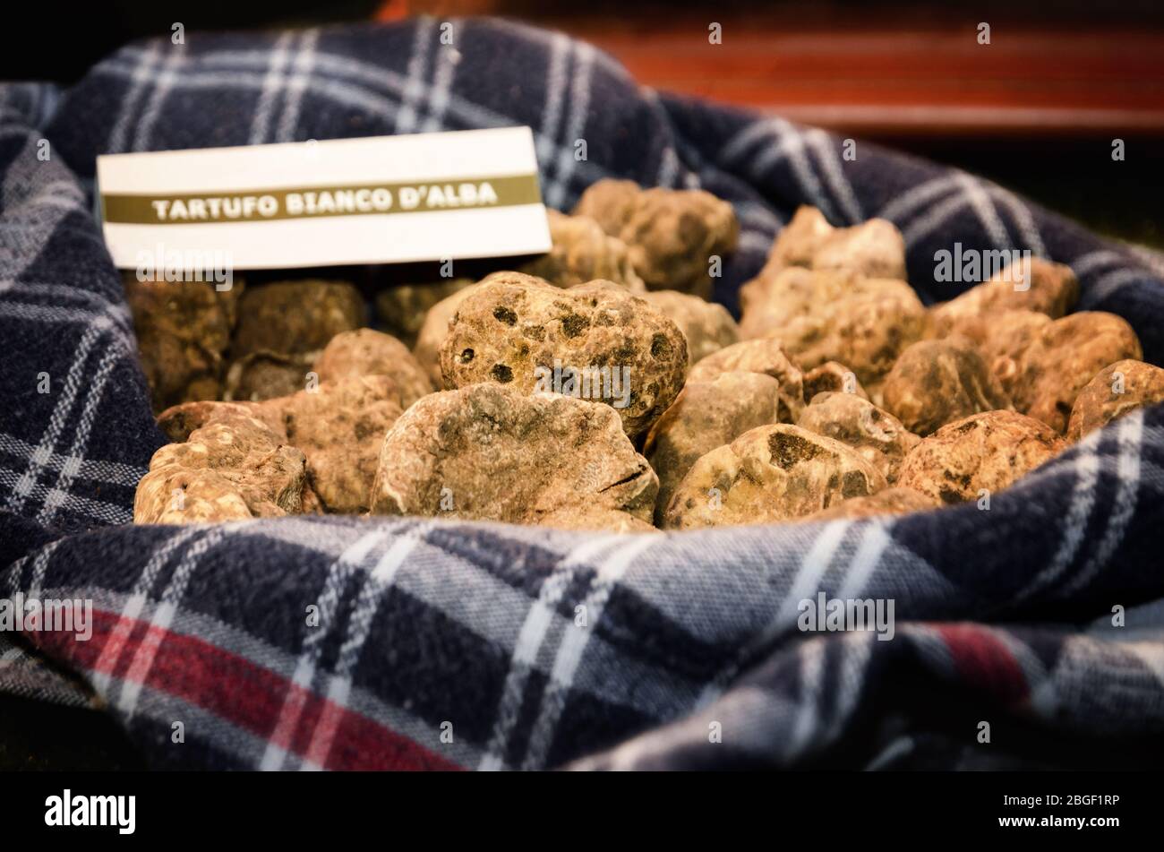 White Truffles (Tuber Magnatum Pico) on a trader stall of the Fiera del Tartufo (Truffle Fair