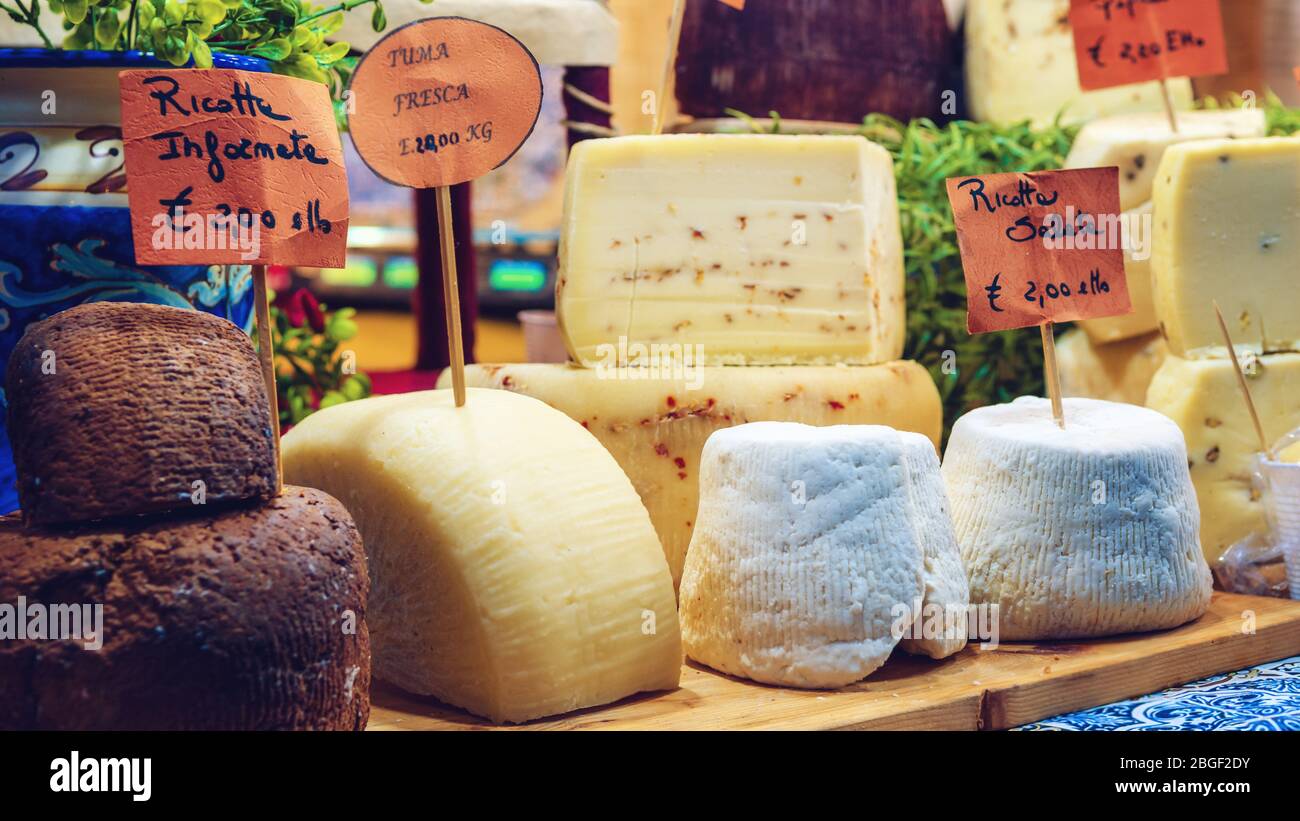 fresh toma and ricotta, traditional hard cheeses on a market stall in piedmont, Italy, with price tags Stock Photo
