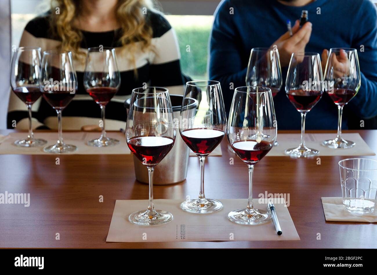 Wine tasting experience in Langhe (Italy) with three glasses of Nebbiolo on a table Stock Photo