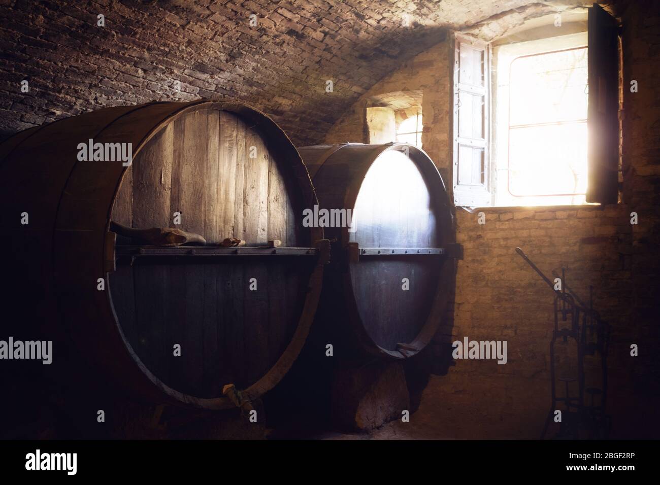 historic wine cellar in Langhe (Piedmont, Italy) with many slavonian oak barrels for the aging of red wine Stock Photo