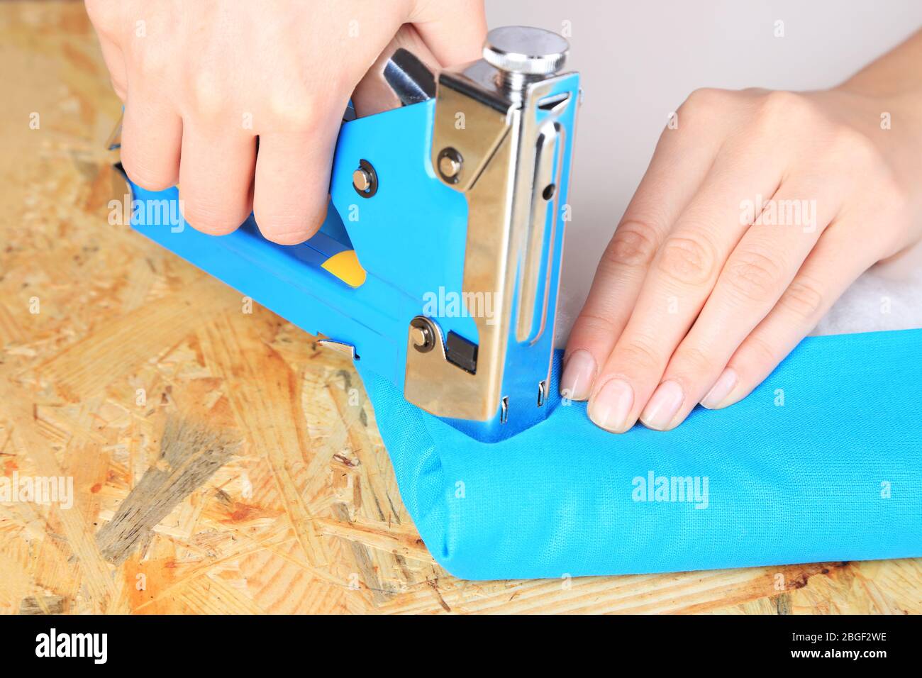 Fastening fabric and board using construction stapler Stock Photo Alamy