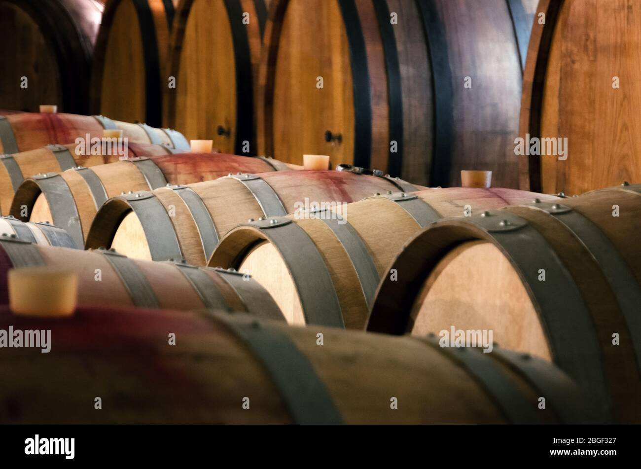 historic wine cellar in Langhe (Piedmont, Italy) with many barriques and slavonian oak barrels for the aging of red wine Stock Photo