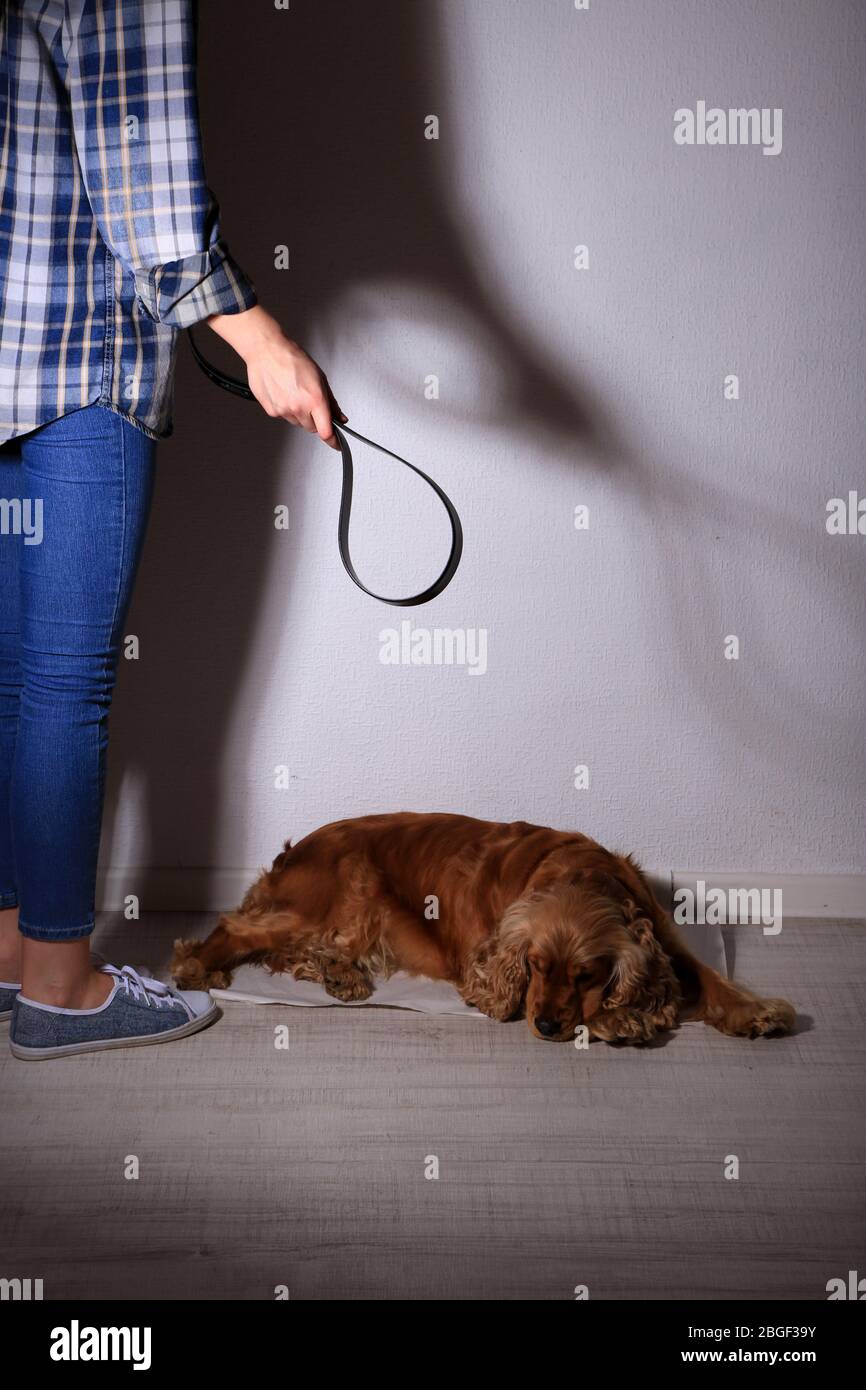 Cruel treatment with dog Stock Photo Alamy