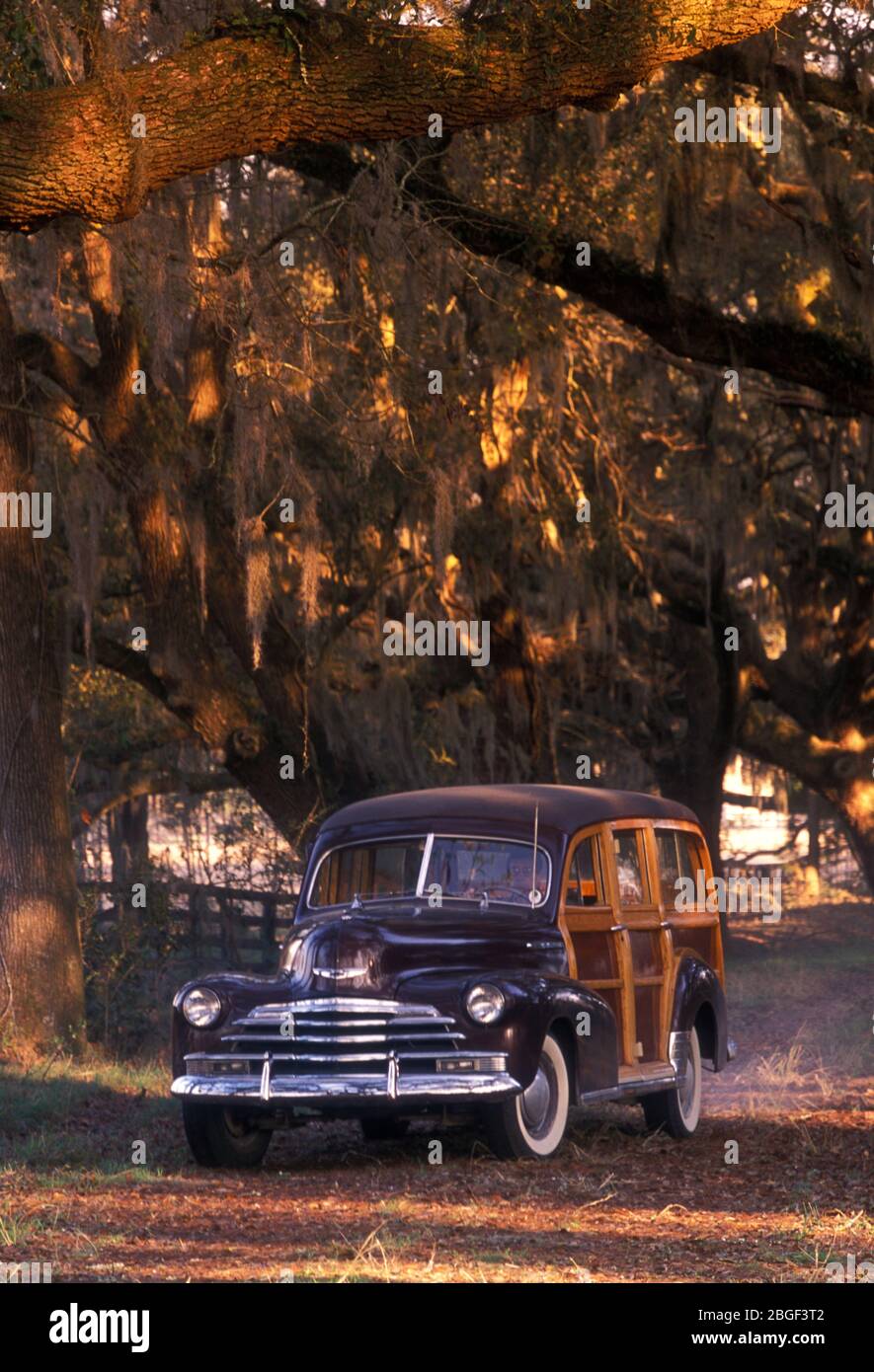 1940's Chevrolet Woody  Station Wagon. Stock Photo