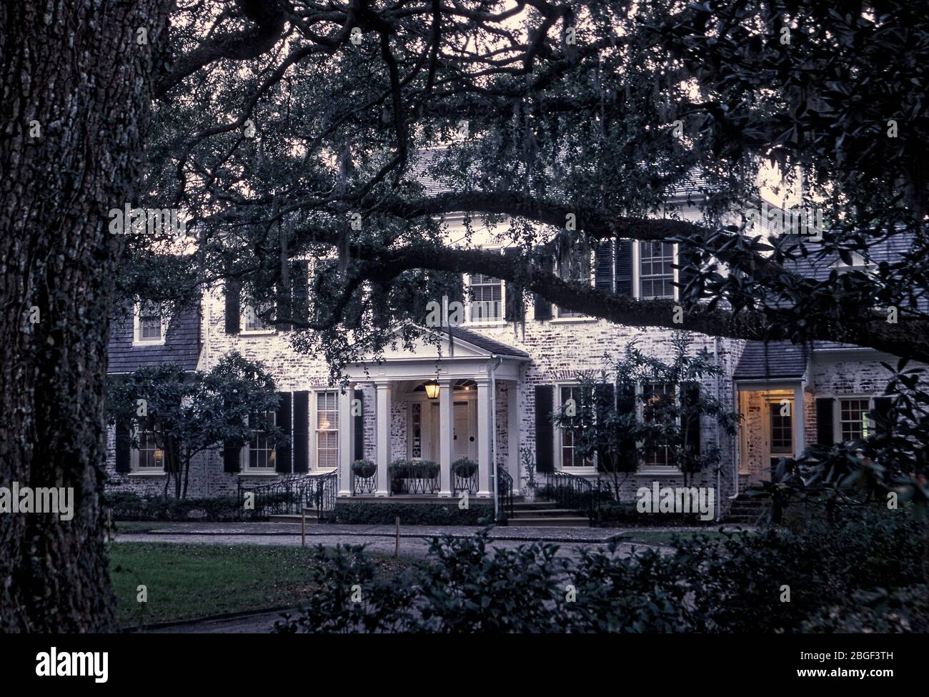 Quail shoot at Bray's Island Plantation Sheldon South Carolina USA 2002
