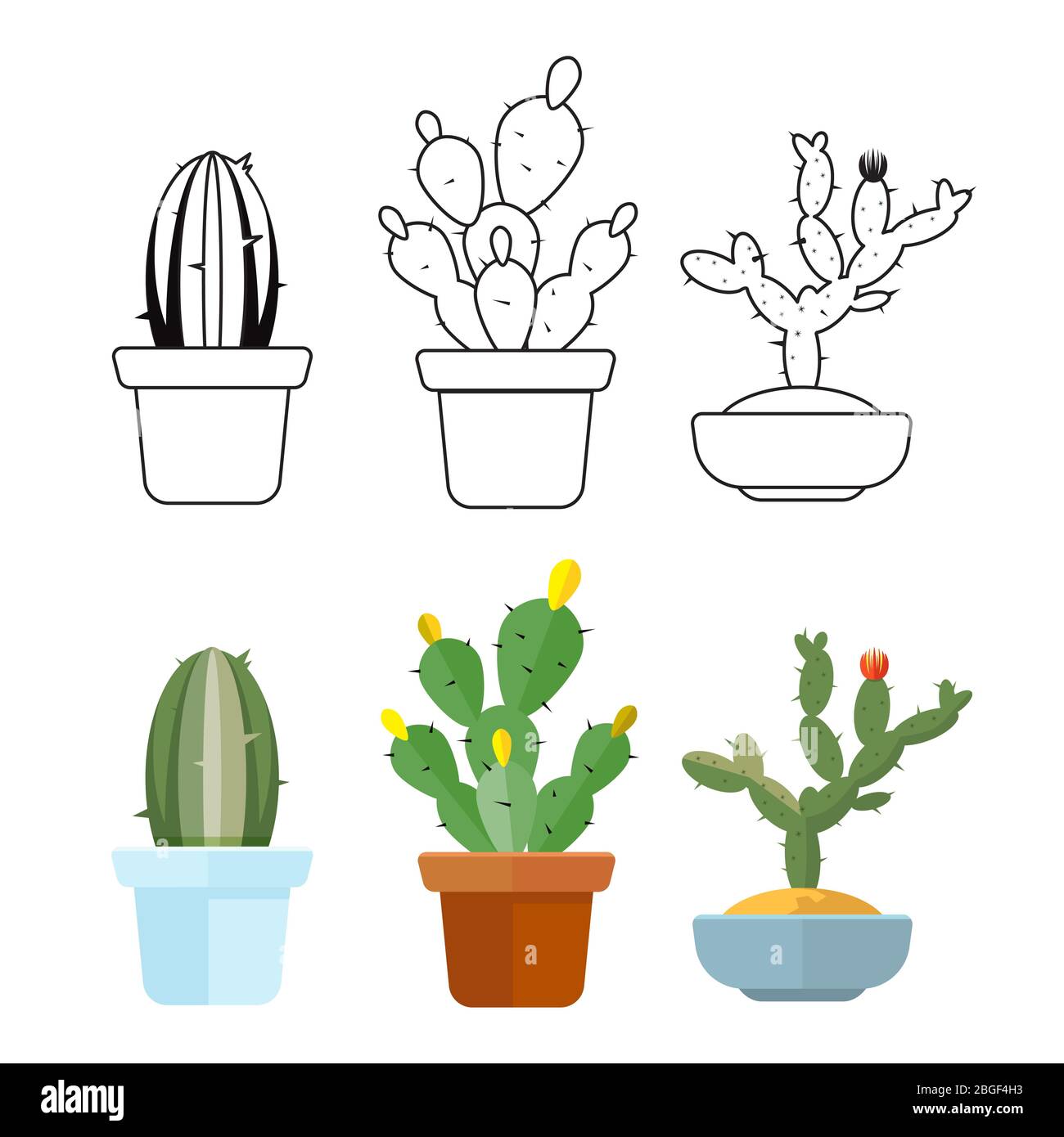Hand Drawn Cactus PNG Transparent, Hand Drawn Cartoon Succulent And Cactus  Elements, Cactus, Hand Painted, Cartoon PNG Image For Free Download