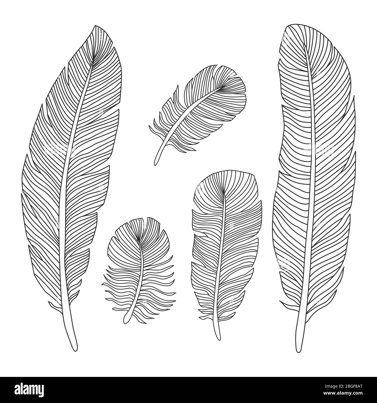 Hand drawn feathers outline silhouettes isolated on white background. Vector illustration Stock Vector